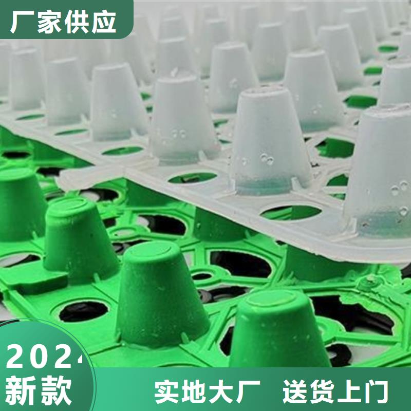 排水板_【植草格】匠心打造