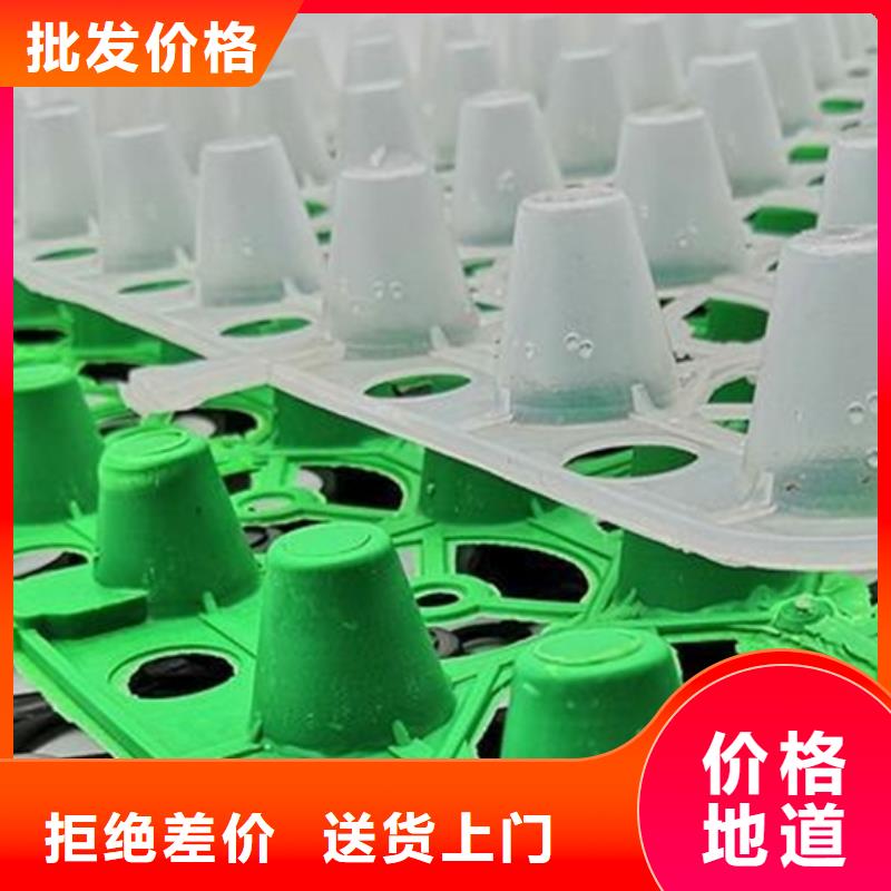 车库排水板厂家欢迎您