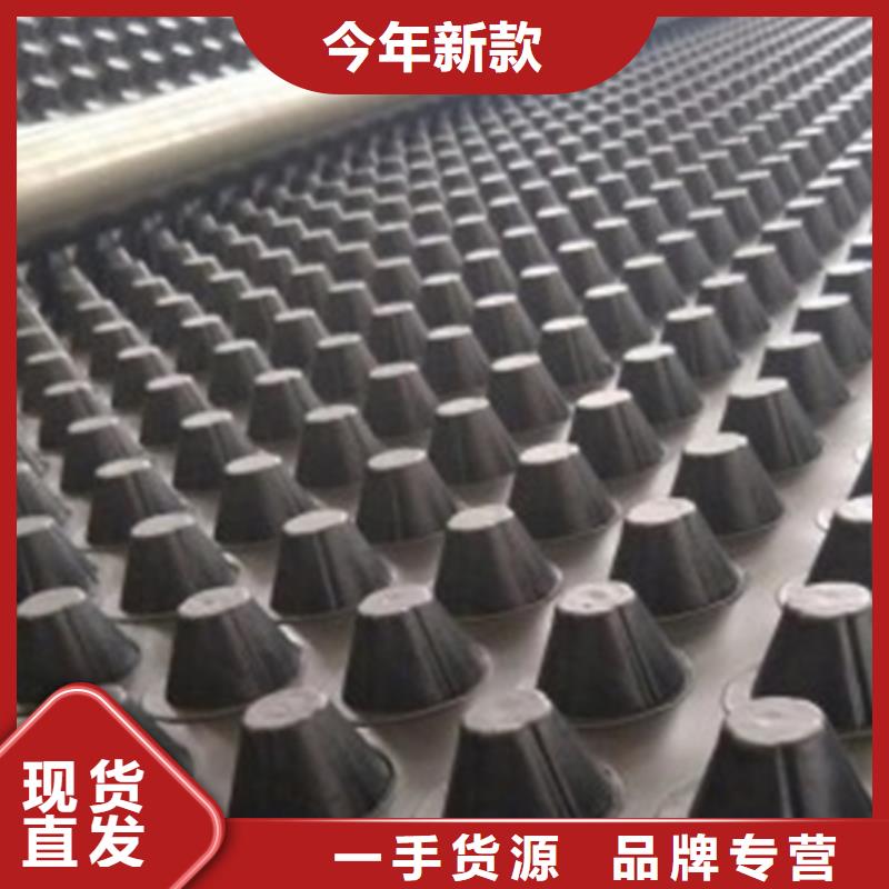 排水板价格