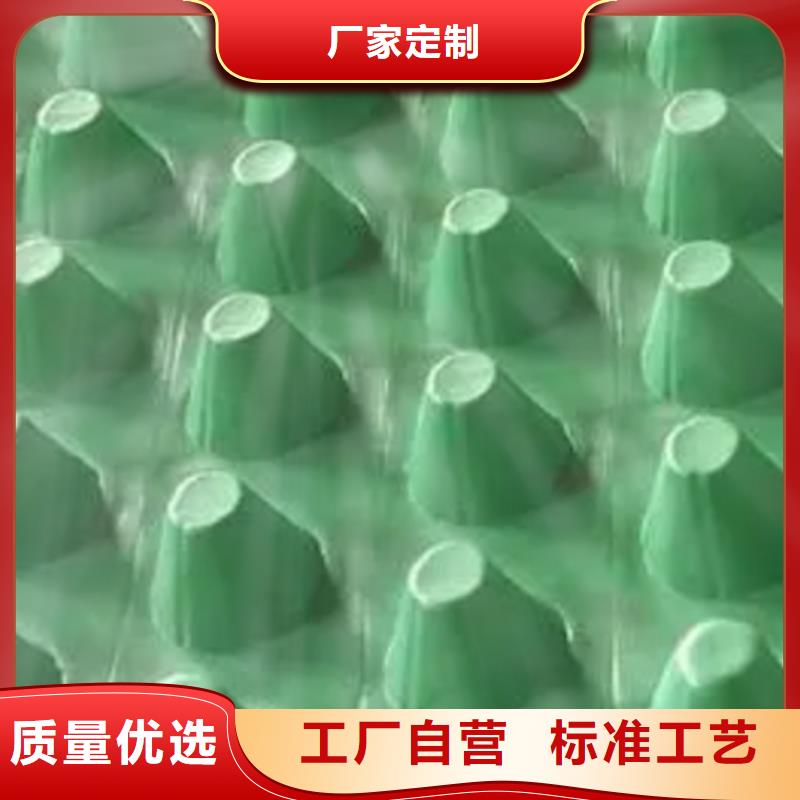 虹吸排水板厂家-批发价2025
