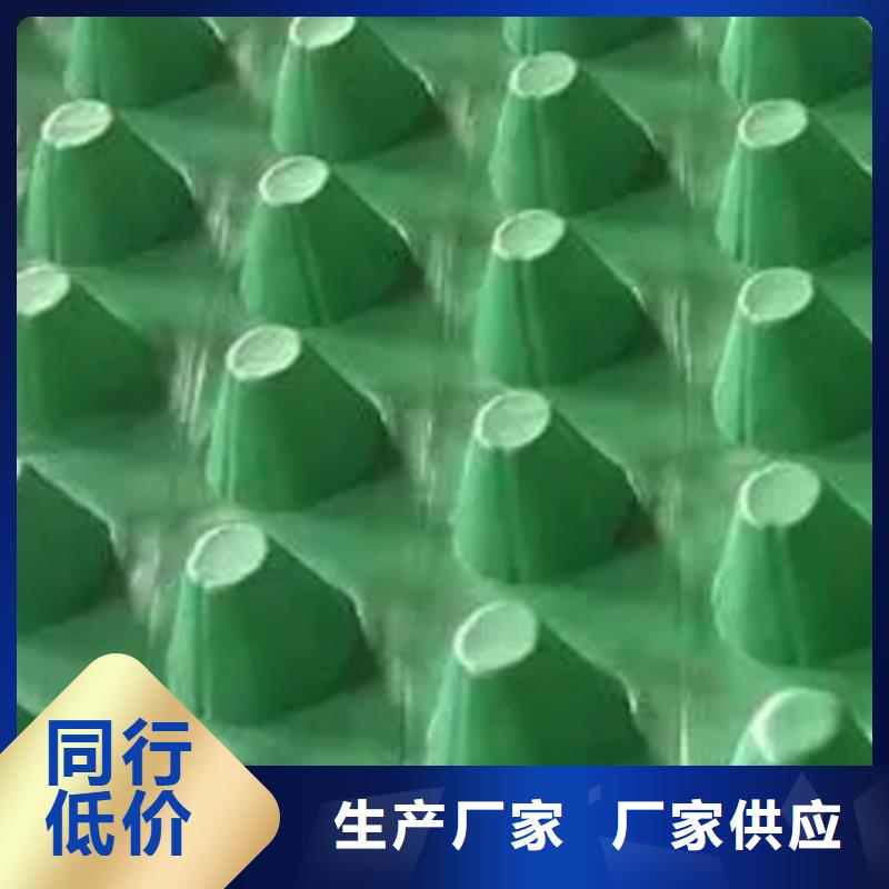 车库排水板厂家欢迎您