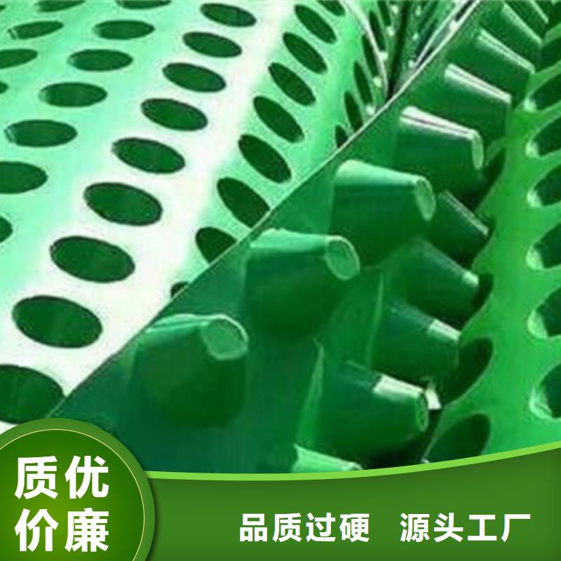 排水板植草格有实力有经验