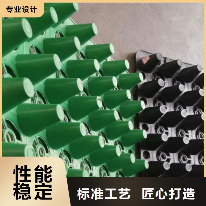 排水板厂家直供-可定制