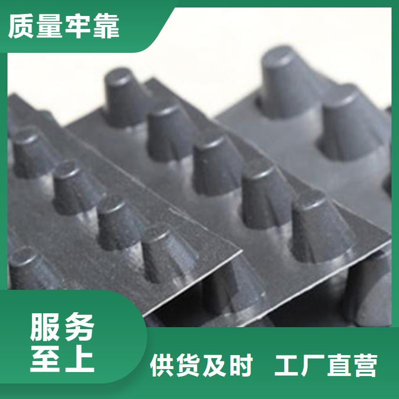 排水板厂家直供-可定制
