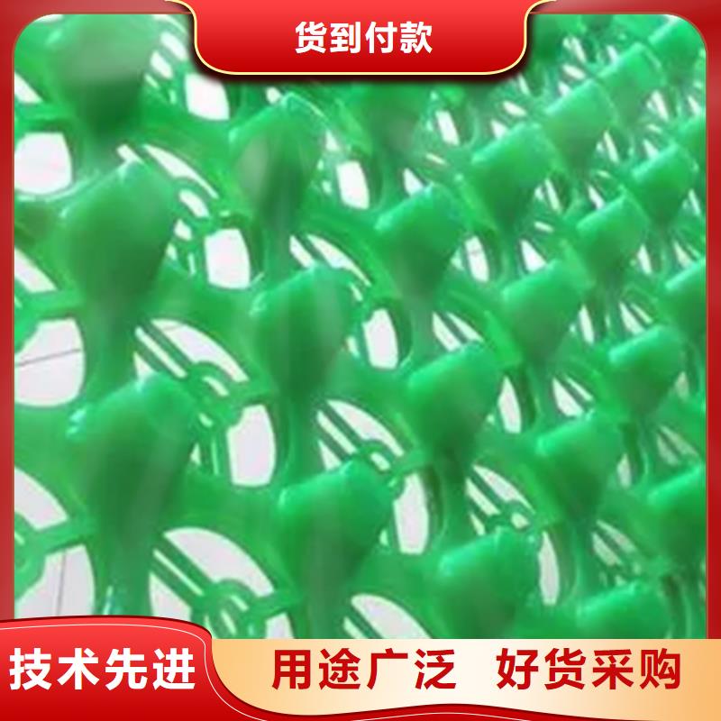 排水板本地工厂-批发价2025