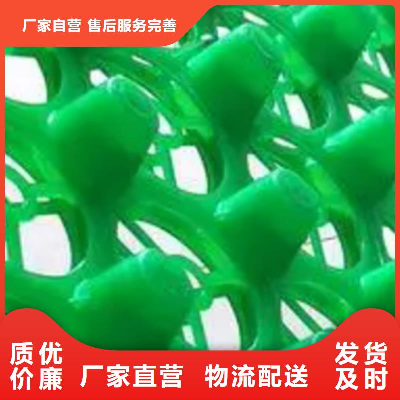排水板厂家直供-可定制