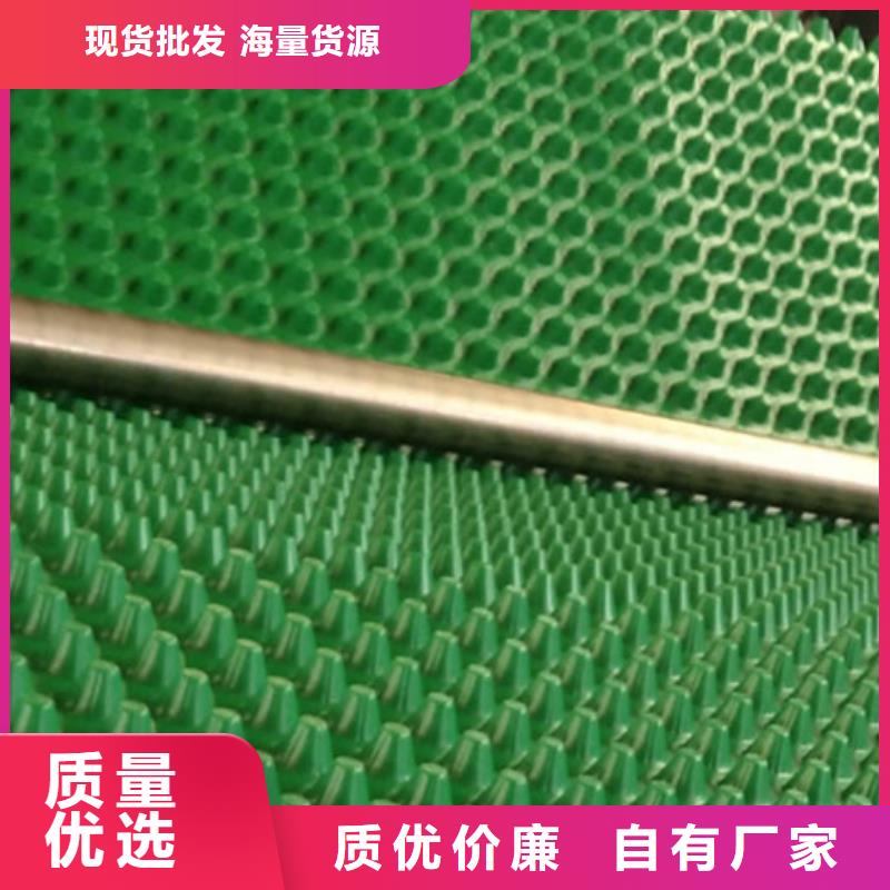 排水板批发价/厂家