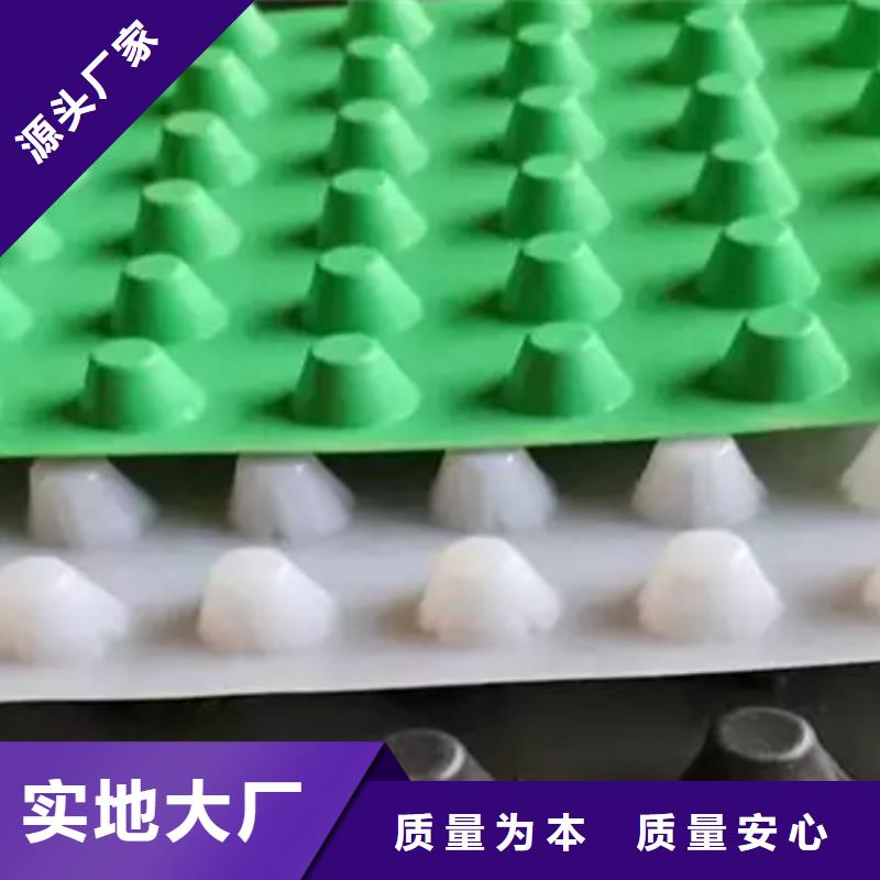 塑料排水板厂家-全国发货