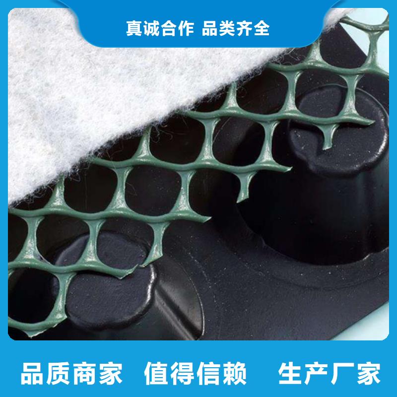 排水板批发价/厂家