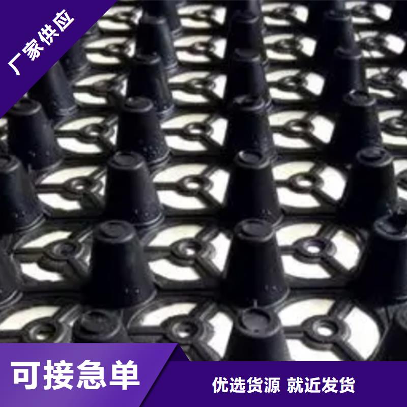 排水板_【植草格】匠心打造