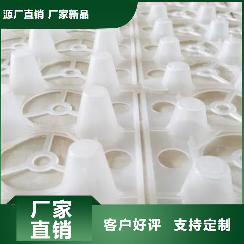 排水板本地工厂-批发价2025