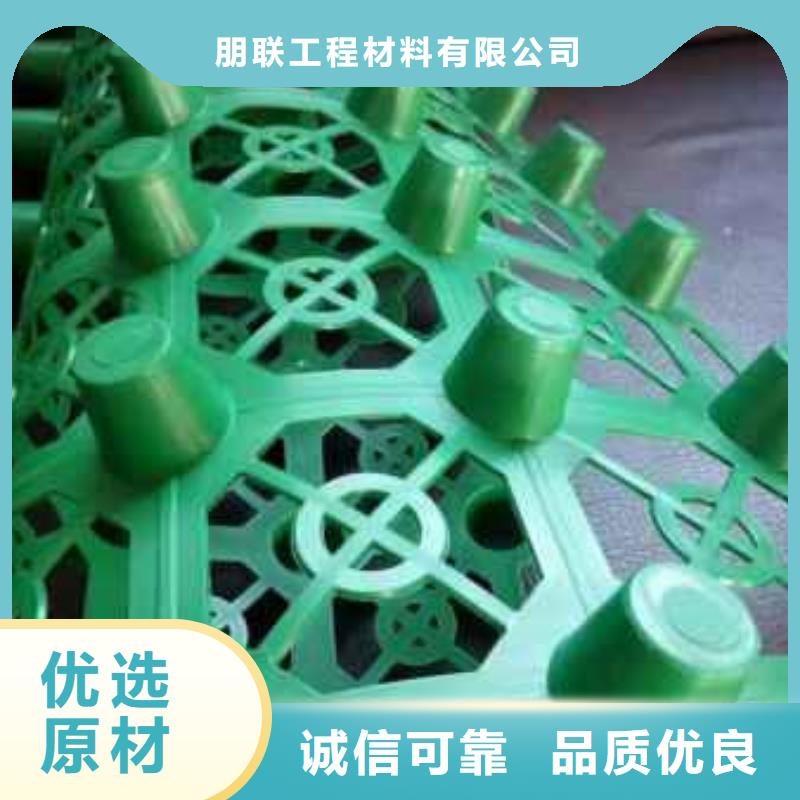排水板植草格有实力有经验