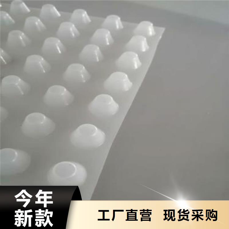 虹吸排水板厂家-批发价2025