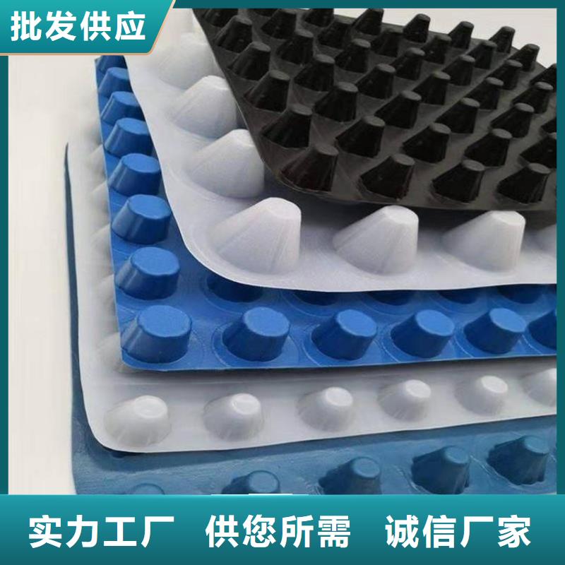 排水板厂家直供-可定制