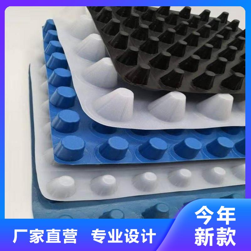 排水板本地工厂-批发价2025
