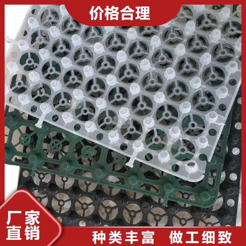 塑料排水板厂家-批发价