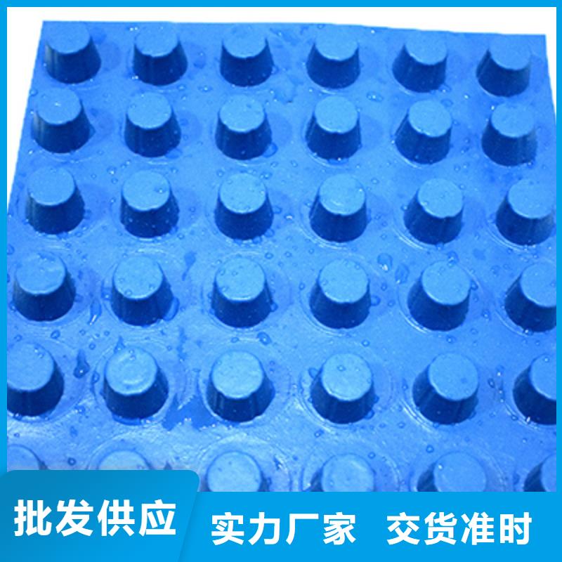 塑料排水板厂家-全国发货