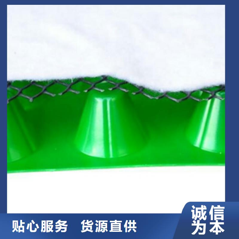排水板植草格有实力有经验