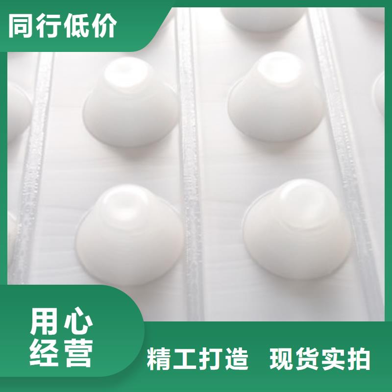 排水板_【植草格】匠心打造