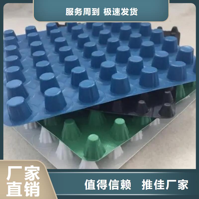 排水板厂家直供-可定制