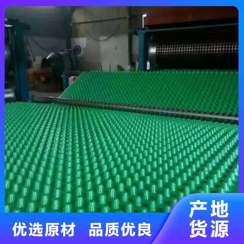 排水板植草格有实力有经验