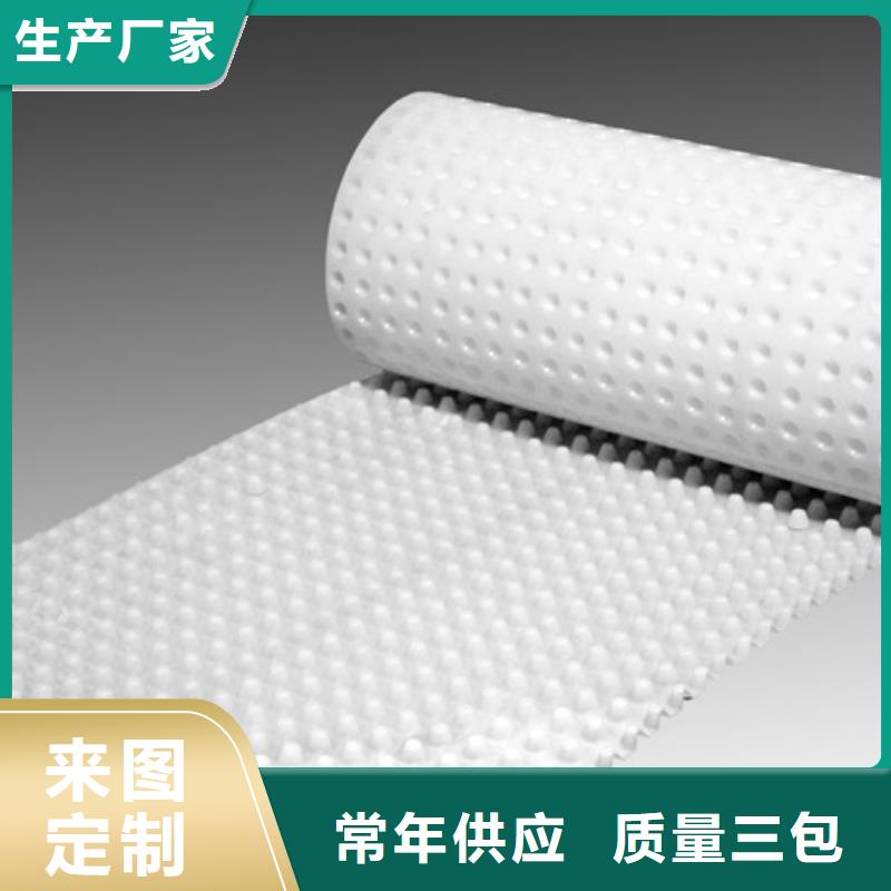 排水板批发价/厂家