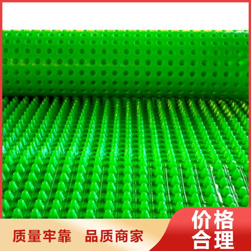 塑料排水板厂家-批发价
