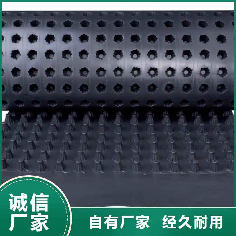 排水板厂家直供-可定制