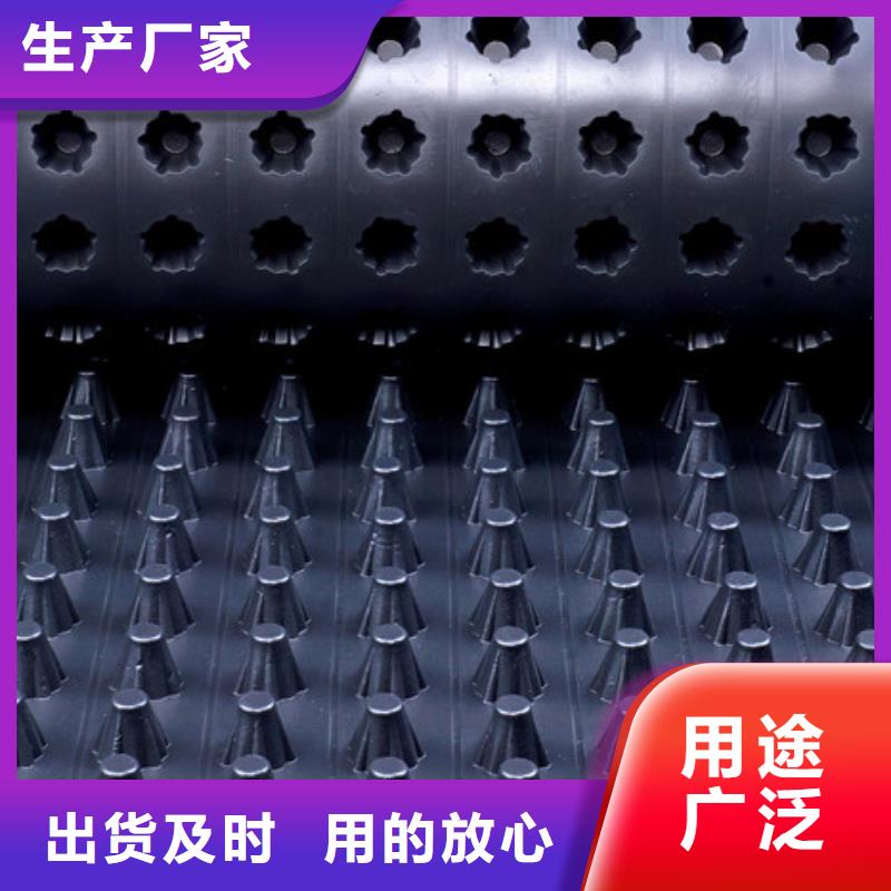 排水板厂家直供-可定制