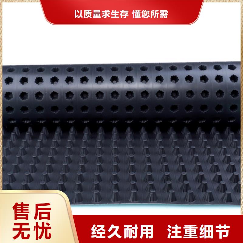 排水板本地工厂-批发价2025