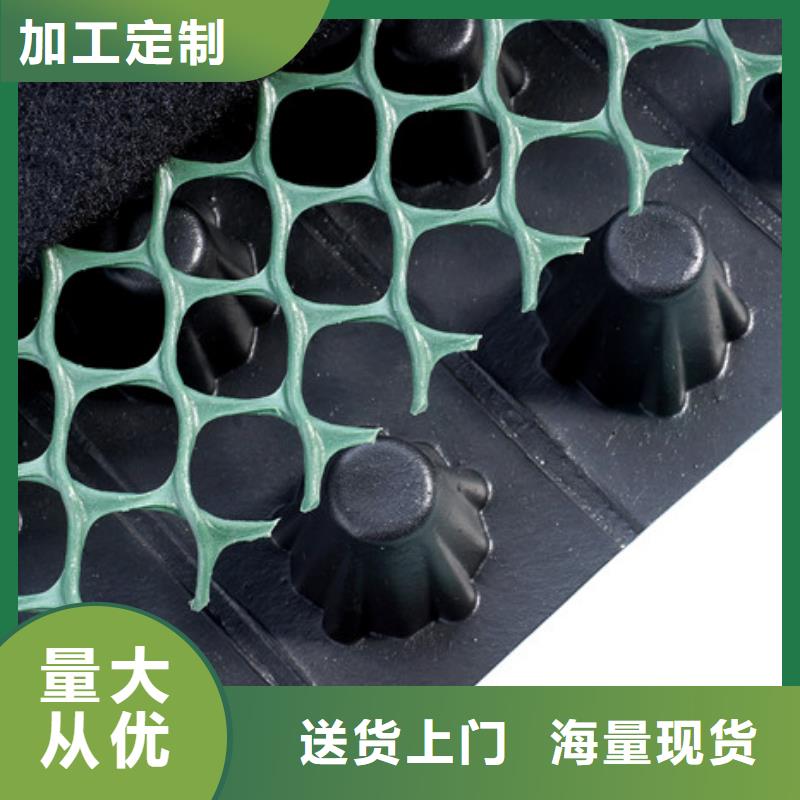 排水板本地工厂-批发价2025