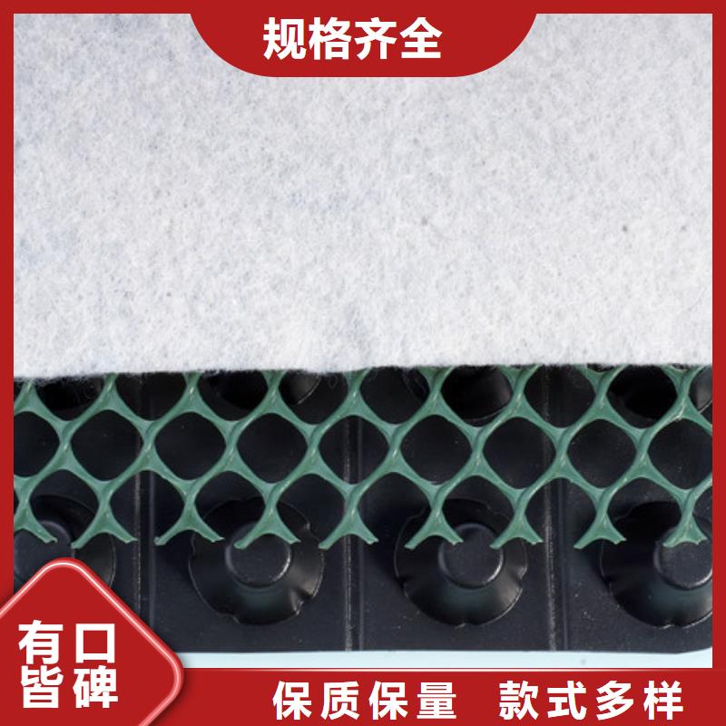 排水板厂家直供-可定制