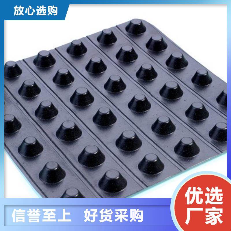 排水板厂家直供-可定制