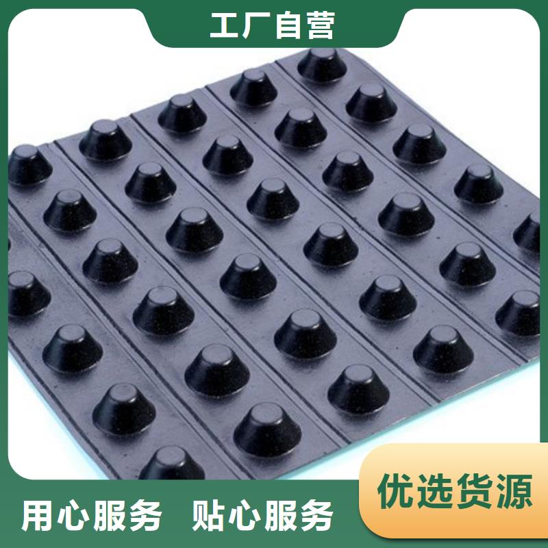 蓄排水板价格