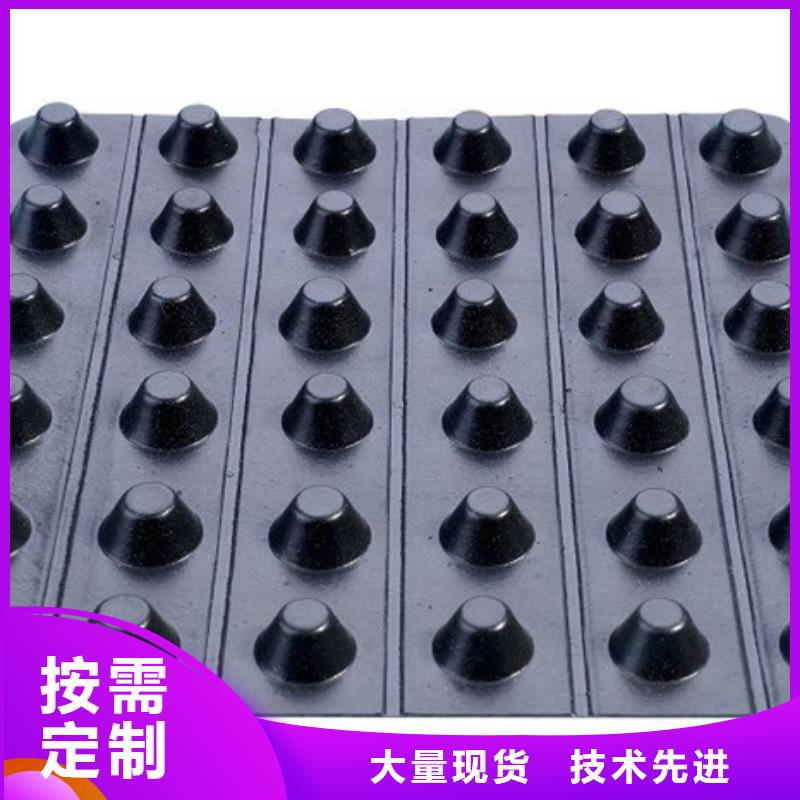 排水板批发价/厂家