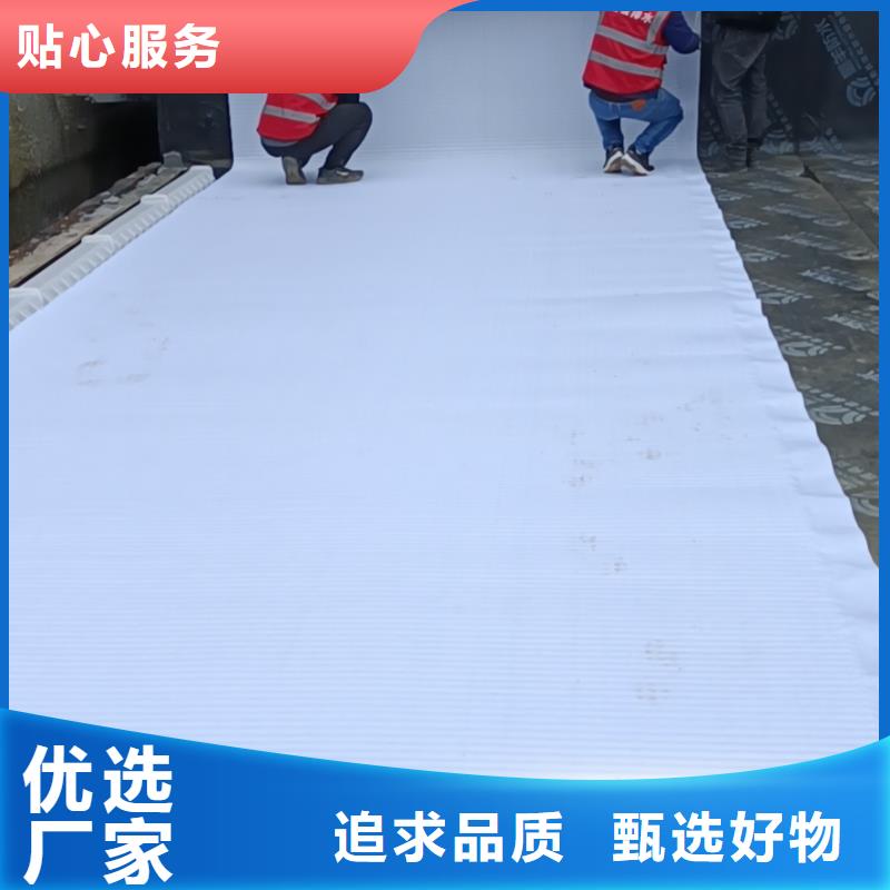 防护虹吸排水收集系统型号全