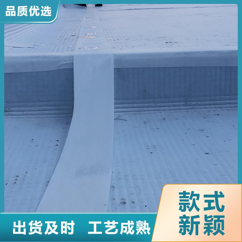 防护虹吸排水收集系统价格低
