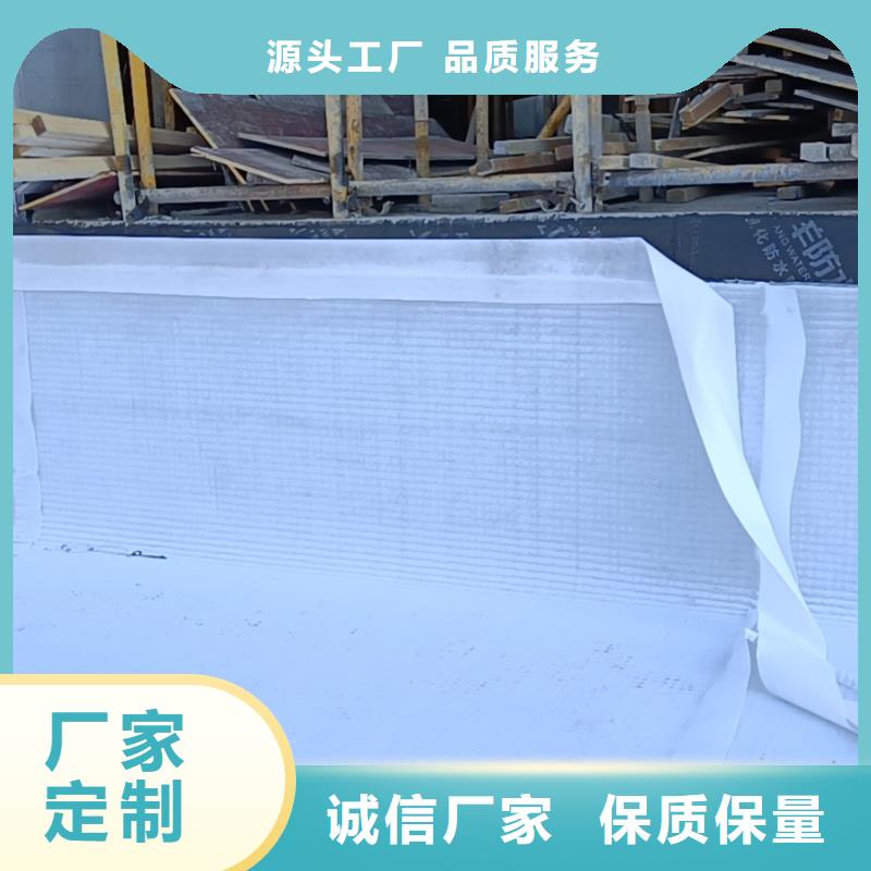 防护虹吸排水收集系统欢迎订购