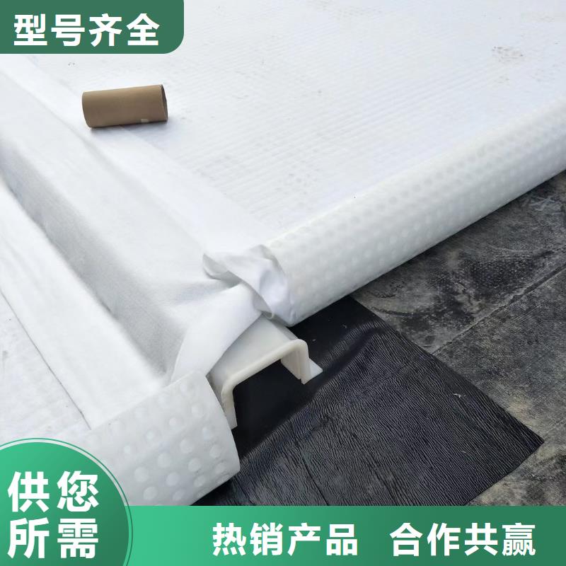 虹吸排水防护虹吸排水收集系统您身边的厂家