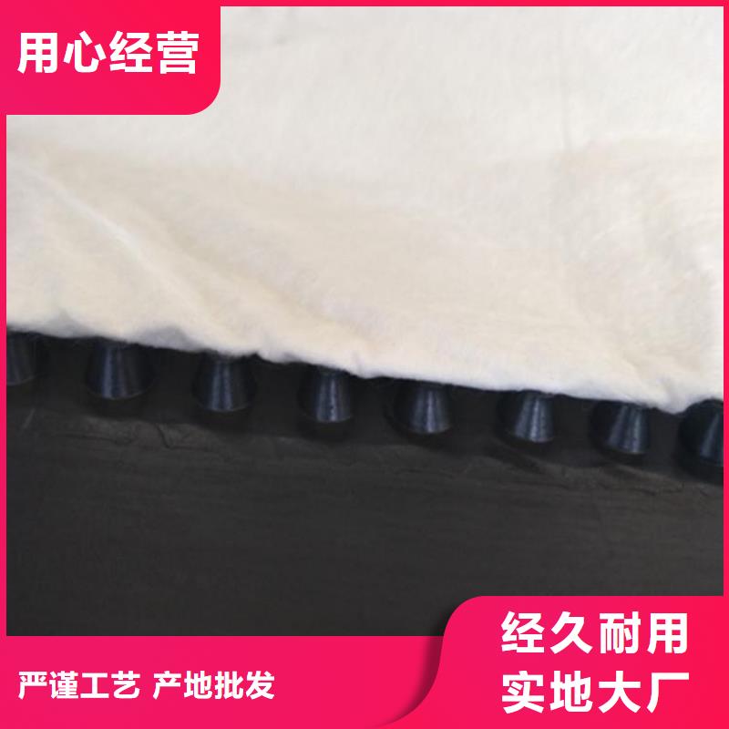 虹吸排水防护虹吸排水收集系统您身边的厂家
