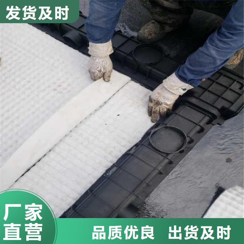 防护虹吸排水收集系统型号全