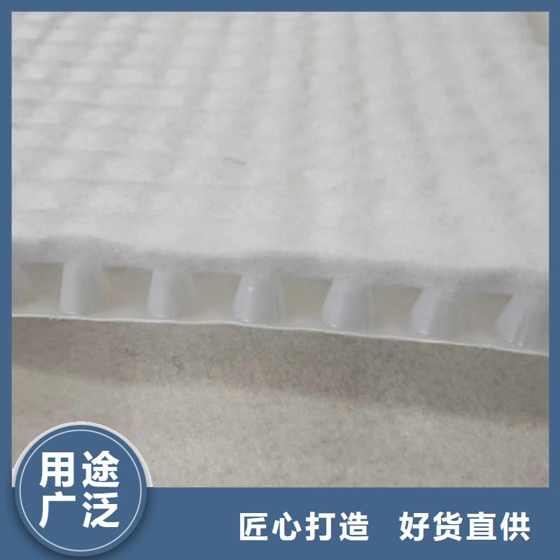 防护虹吸排水收集系统欢迎订购