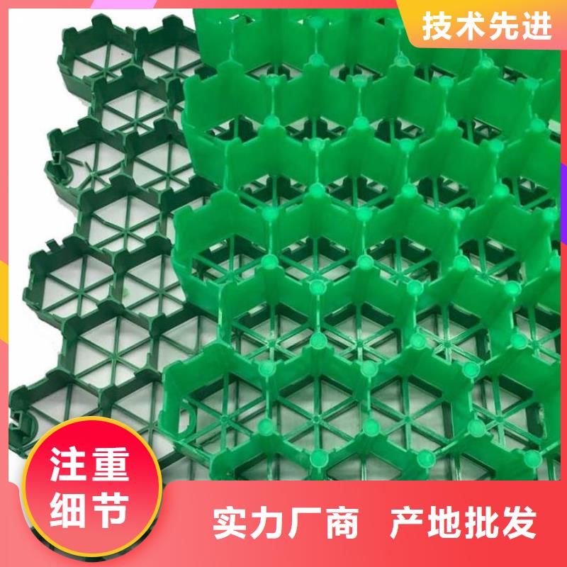 塑料植草格哪里能买到