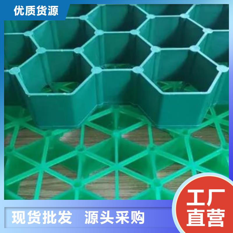 塑料植草格朋联工程-厂家直销