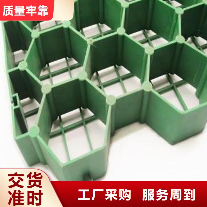 塑料植草格本地厂家