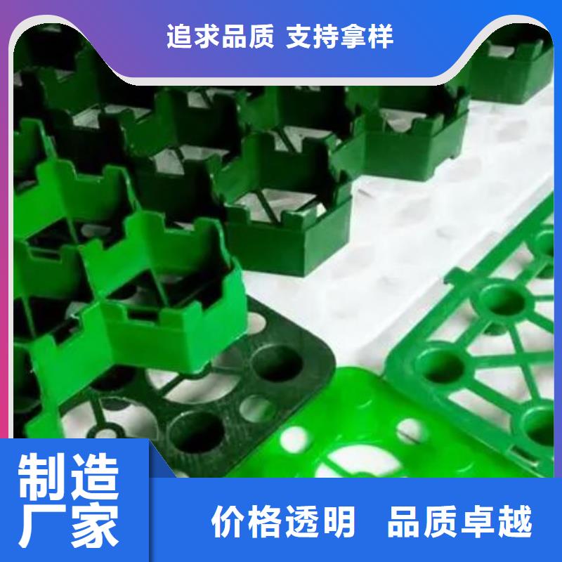 塑料植草格哪里能买到