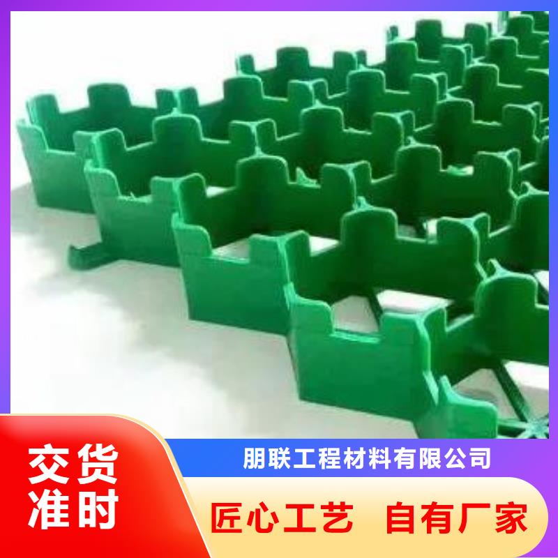 塑料植草格-朋联集团