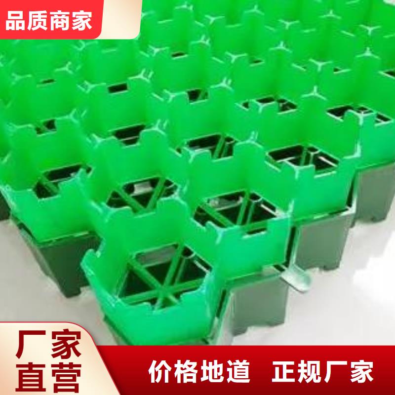 塑料植草格有限公司