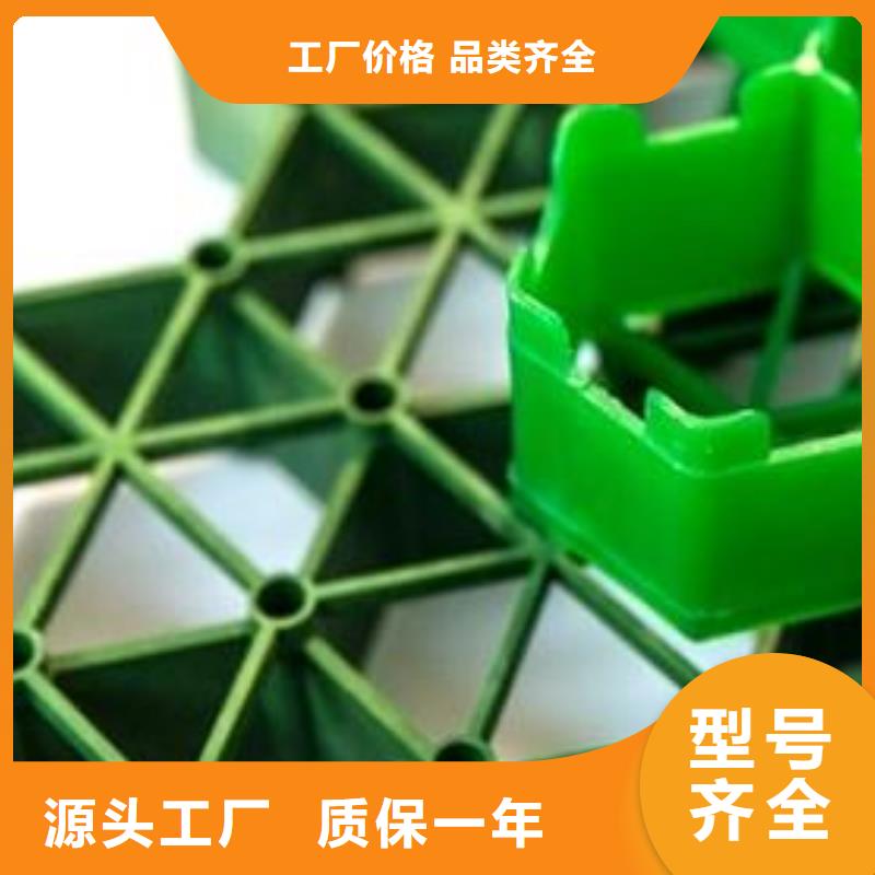 塑料植草格本地厂家