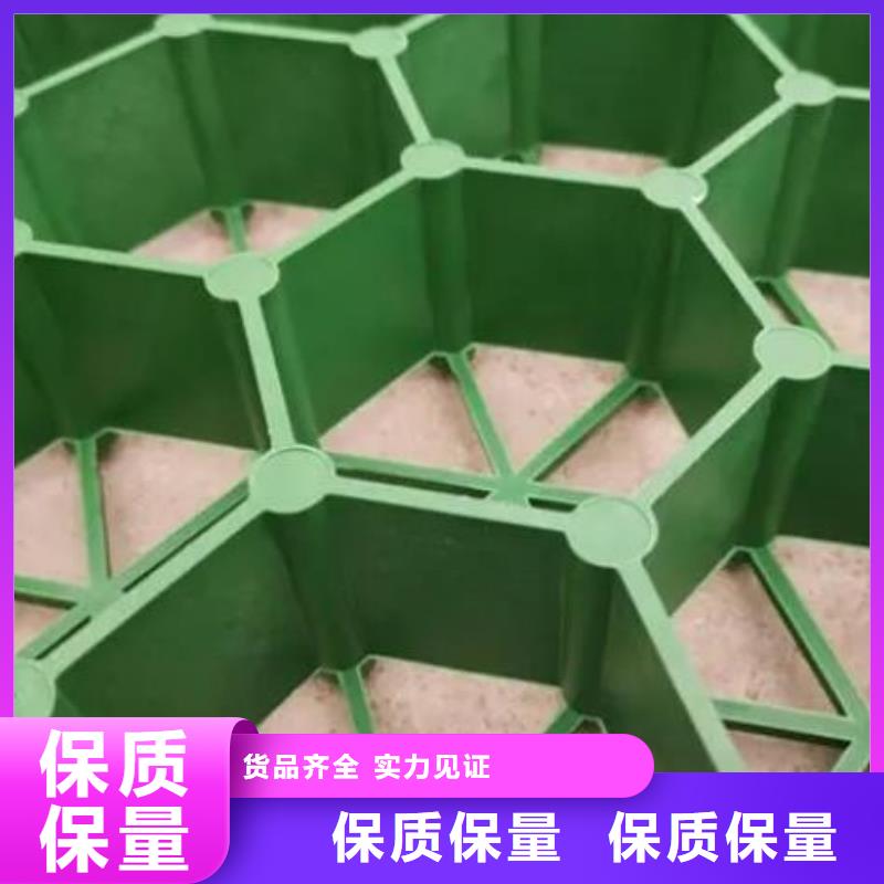 塑料植草格朋联工程-厂家直销